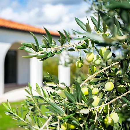 Prázdninový dům Olivarum By Interhome Stankovci (Zadar)